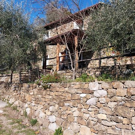 הוילה אפריקלה Nostro Rifugio מראה חיצוני תמונה
