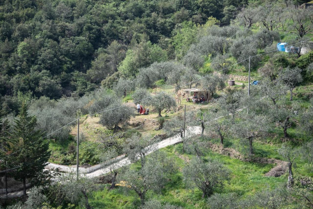 הוילה אפריקלה Nostro Rifugio מראה חיצוני תמונה