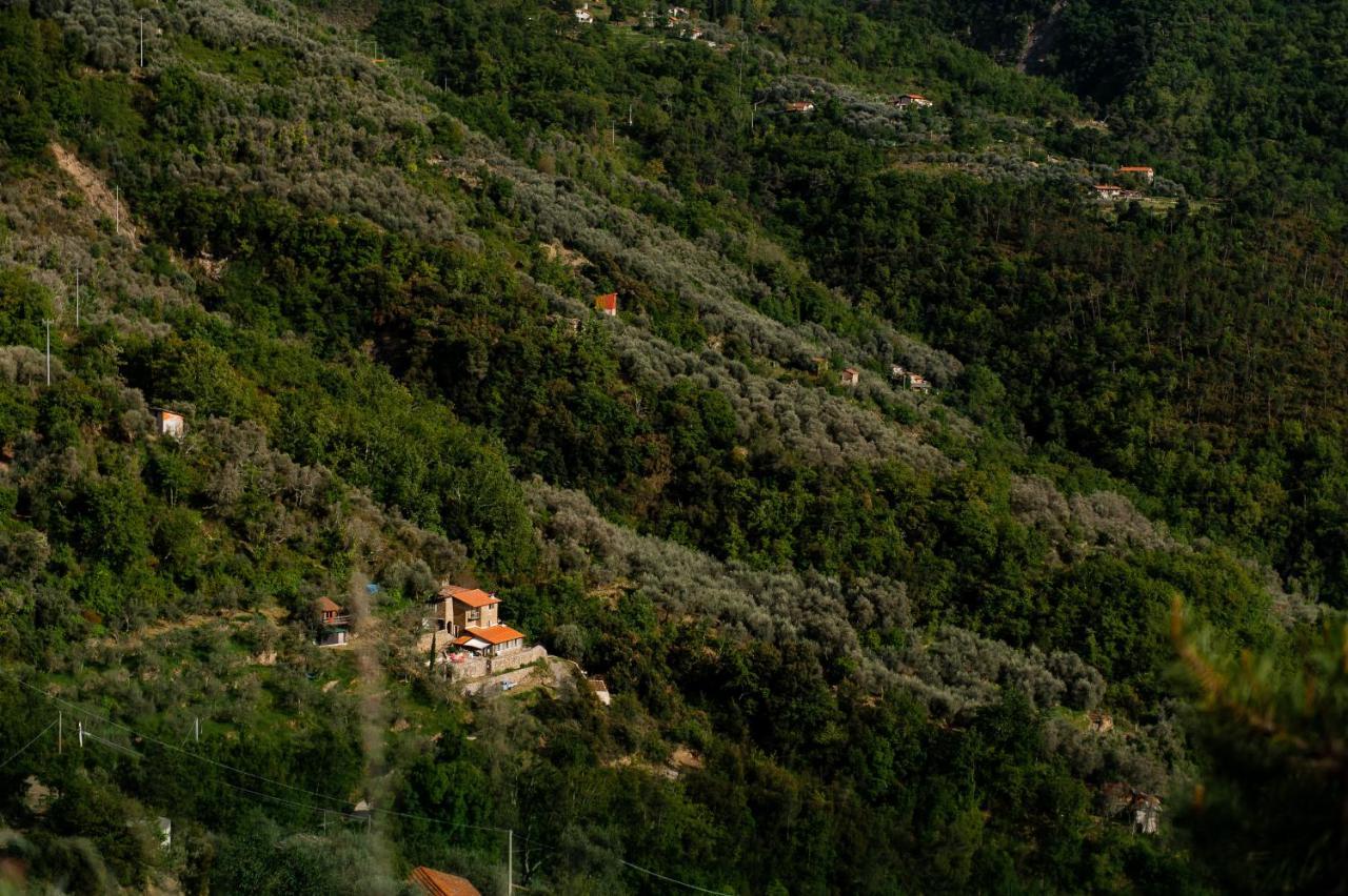 הוילה אפריקלה Nostro Rifugio מראה חיצוני תמונה