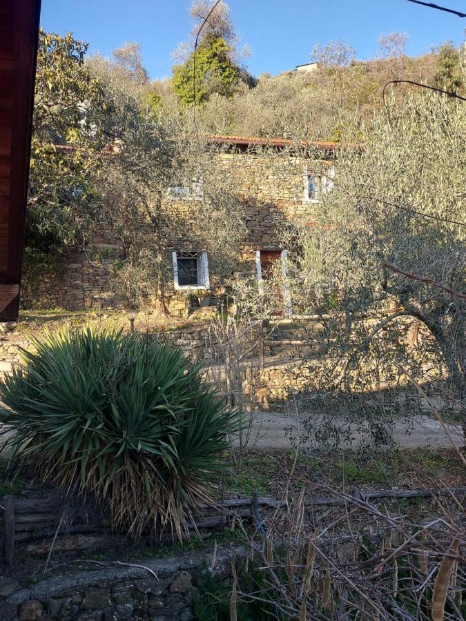 הוילה אפריקלה Nostro Rifugio מראה חיצוני תמונה