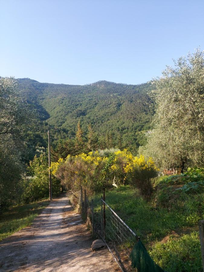 הוילה אפריקלה Nostro Rifugio מראה חיצוני תמונה